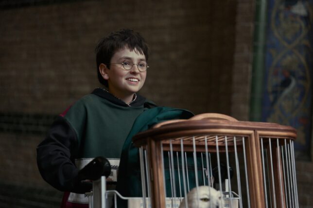 Dominic McLaughlin as Harry Potter with Hedwig in HBO’s Harry Potter series
